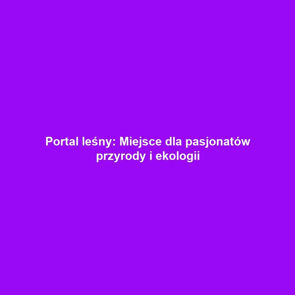 Portal leśny: Miejsce dla pasjonatów przyrody i ekologii