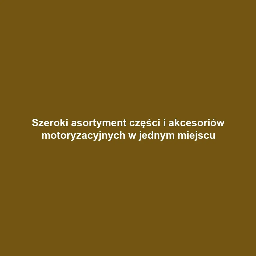 Szeroki asortyment części i akcesoriów motoryzacyjnych w jednym miejscu